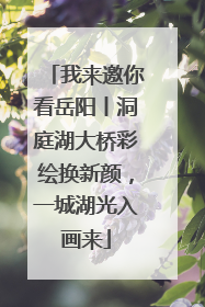 我来邀你看岳阳丨洞庭湖大桥彩绘换新颜，一城湖光入画来