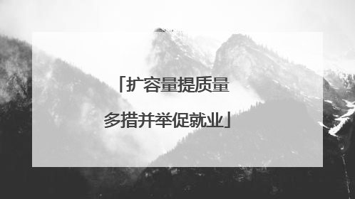 扩容量提质量 多措并举促就业