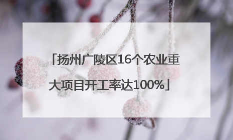 扬州广陵区16个农业重大项目开工率达100%