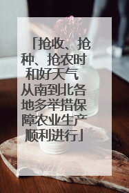 抢收、抢种、抢农时和好天气 从南到北各地多举措保障农业生产顺利进行