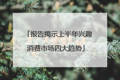 报告揭示上半年兴趣消费市场四大趋势