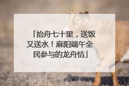 抬舟七十里，送饭又送水！麻阳端午全民参与的龙舟情