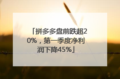 拼多多盘前跌超20%，第一季度净利润下降45%