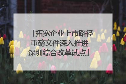 拓宽企业上市路径 重磅文件深入推进深圳综合改革试点