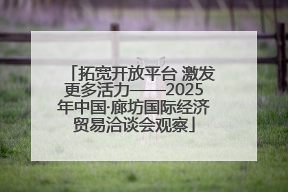 拓宽开放平台 激发更多活力——2025年中国·廊坊国际经济贸易洽谈会观察