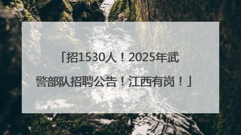 招1530人！2025年武警部队招聘公告！江西有岗！