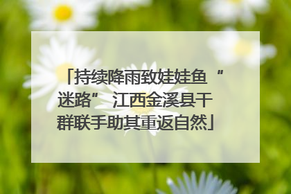 持续降雨致娃娃鱼“迷路” 江西金溪县干群联手助其重返自然