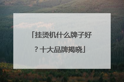 挂烫机什么牌子好？十大品牌揭晓