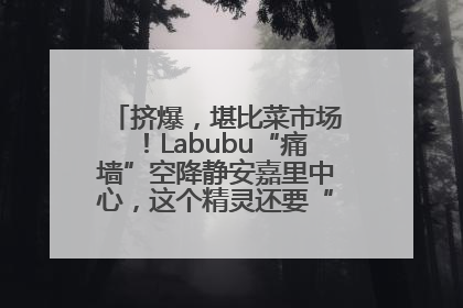 挤爆，堪比菜市场！Labubu“痛墙”空降静安嘉里中心，这个精灵还要“突袭”便利店？