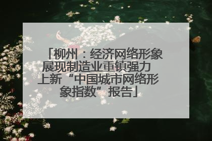 柳州：经济网络形象展现制造业重镇强力 上新“中国城市网络形象指数”报告