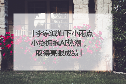 李家诚旗下小雨点小贷拥抱AI热潮，取得亮眼成绩