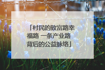 村民的致富路幸福路 一条产业路背后的公益脉络