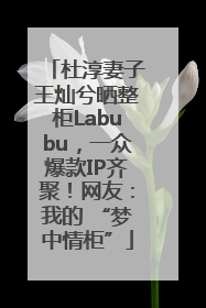 杜淳妻子王灿兮晒整柜Labubu，一众爆款IP齐聚！网友：我的 “梦中情柜”
