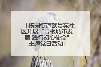 杨园街道欧景苑社区开展“寻根城市发展 践行初心使命”主题党日活动
