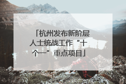 杭州发布新阶层人士统战工作“十个一”重点项目