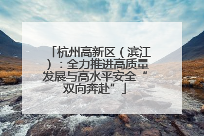 杭州高新区（滨江）：全力推进高质量发展与高水平安全“双向奔赴”