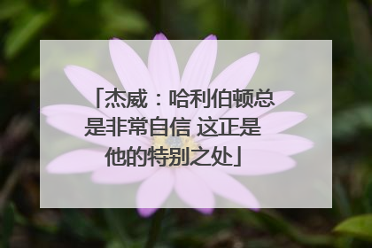 杰威：哈利伯顿总是非常自信 这正是他的特别之处