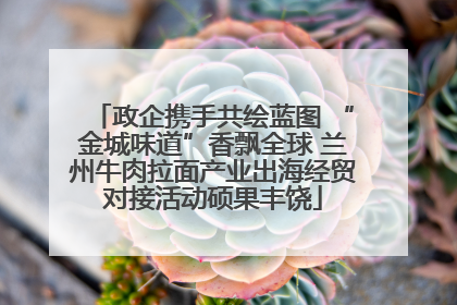 政企携手共绘蓝图 “金城味道”香飘全球 兰州牛肉拉面产业出海经贸对接活动硕果丰饶