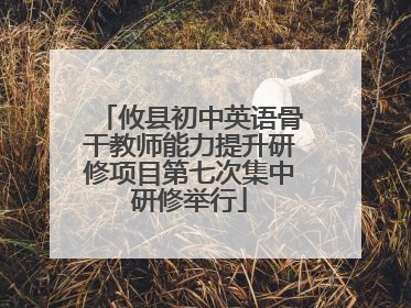 攸县初中英语骨干教师能力提升研修项目第七次集中研修举行
