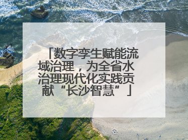 数字孪生赋能流域治理，为全省水治理现代化实践贡献“长沙智慧”