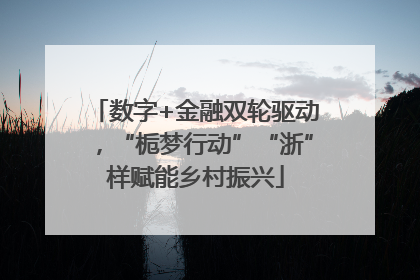 数字+金融双轮驱动，“栀梦行动”“浙”样赋能乡村振兴