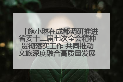 施小琳在成都调研推进省委十二届七次全会精神贯彻落实工作 共同推动文旅深度融合高质量发展 加快打造支柱产业民生产业幸福产业