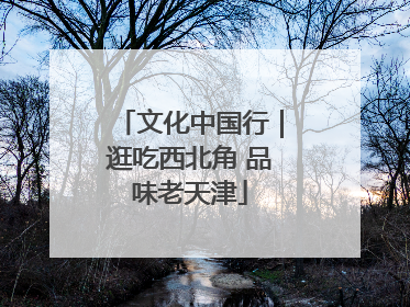 文化中国行｜逛吃西北角 品味老天津