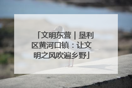 文明东营｜垦利区黄河口镇：让文明之风吹遍乡野