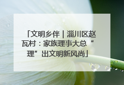 文明乡伴｜淄川区赵瓦村：家族理事大总“理”出文明新风尚