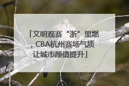 文明观赛“浙”里燃，CBA杭州赛场气质让城市颜值提升