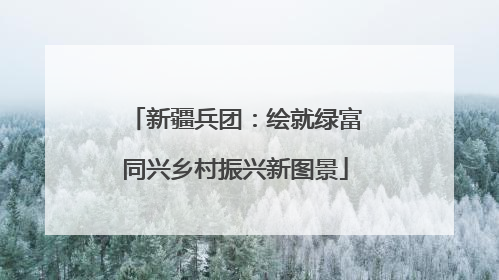 新疆兵团：绘就绿富同兴乡村振兴新图景