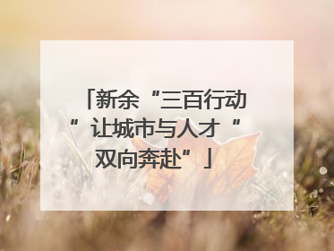 新余“三百行动”让城市与人才“双向奔赴”