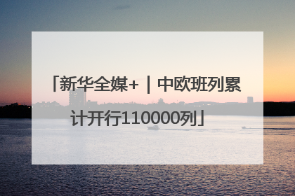 新华全媒+｜中欧班列累计开行110000列