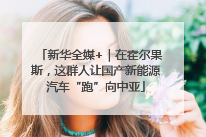 新华全媒+｜在霍尔果斯，这群人让国产新能源汽车“跑”向中亚