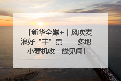 新华全媒+｜风吹麦浪好“丰”景——多地小麦机收一线见闻