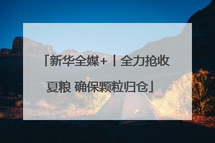 新华全媒+丨全力抢收夏粮 确保颗粒归仓