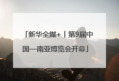 新华全媒+丨第9届中国—南亚博览会开幕