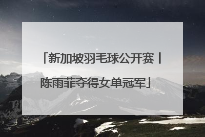 新加坡羽毛球公开赛丨陈雨菲夺得女单冠军