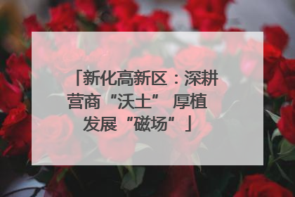 新化高新区：深耕营商“沃土” 厚植发展“磁场”