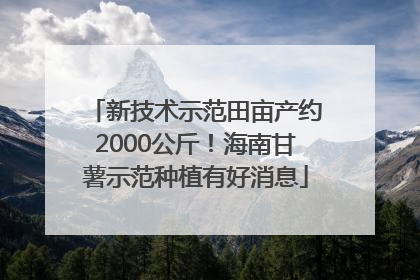 新技术示范田亩产约2000公斤！海南甘薯示范种植有好消息