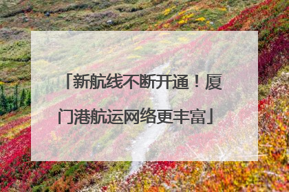 新航线不断开通！厦门港航运网络更丰富