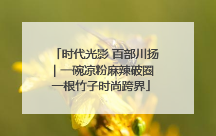 时代光影 百部川扬｜一碗凉粉麻辣破圈 一根竹子时尚跨界