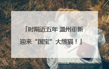 时隔近五年 温州重新迎来“国宝”大熊猫！