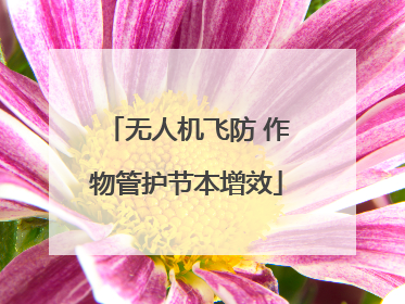无人机飞防 作物管护节本增效