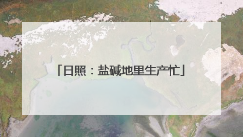 日照：盐碱地里生产忙