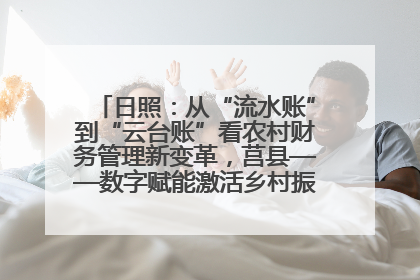 日照：从“流水账”到“云台账”看农村财务管理新变革，莒县——数字赋能激活乡村振兴“一池春水”