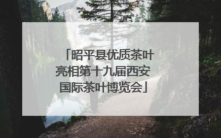 昭平县优质茶叶亮相第十九届西安国际茶叶博览会