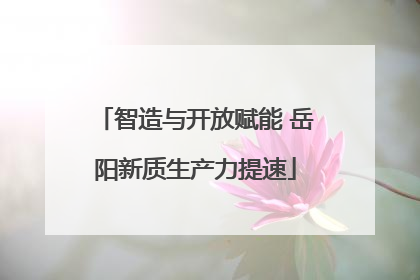 智造与开放赋能 岳阳新质生产力提速