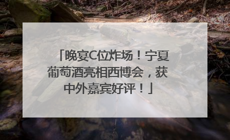 晚宴C位炸场！宁夏葡萄酒亮相西博会，获中外嘉宾好评！
