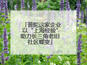 普陀这家企业以“上海经验”助力长三角老旧社区蝶变